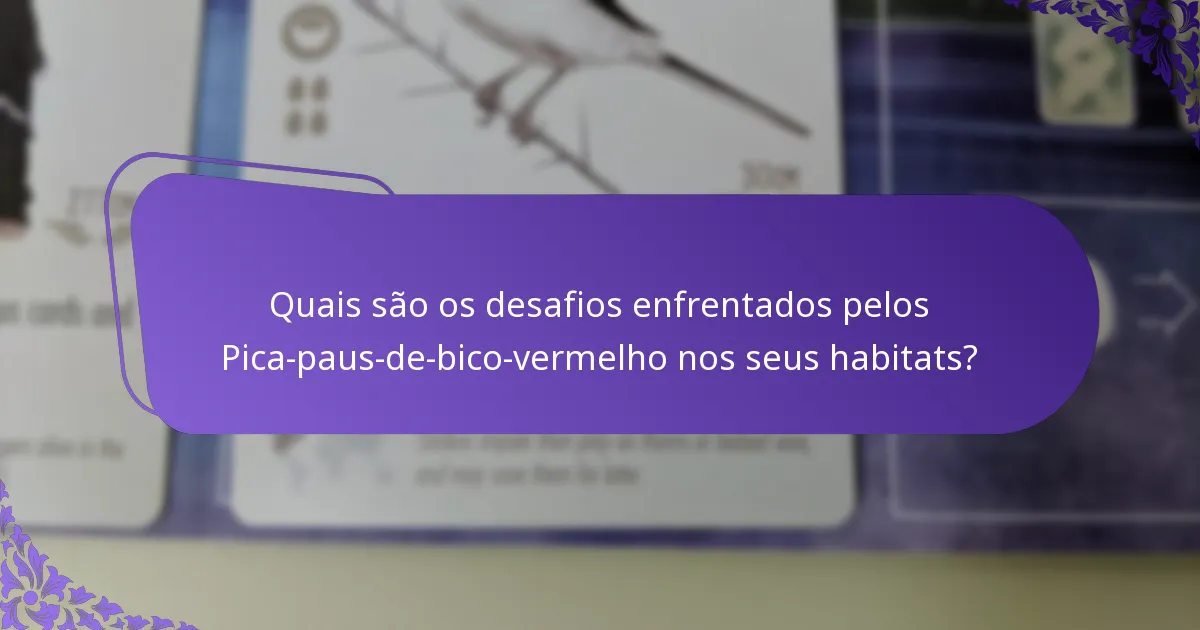 Como os Pica-paus-de-bico-vermelho constroem os seus ninhos?